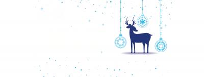 Happy New Year 2025!